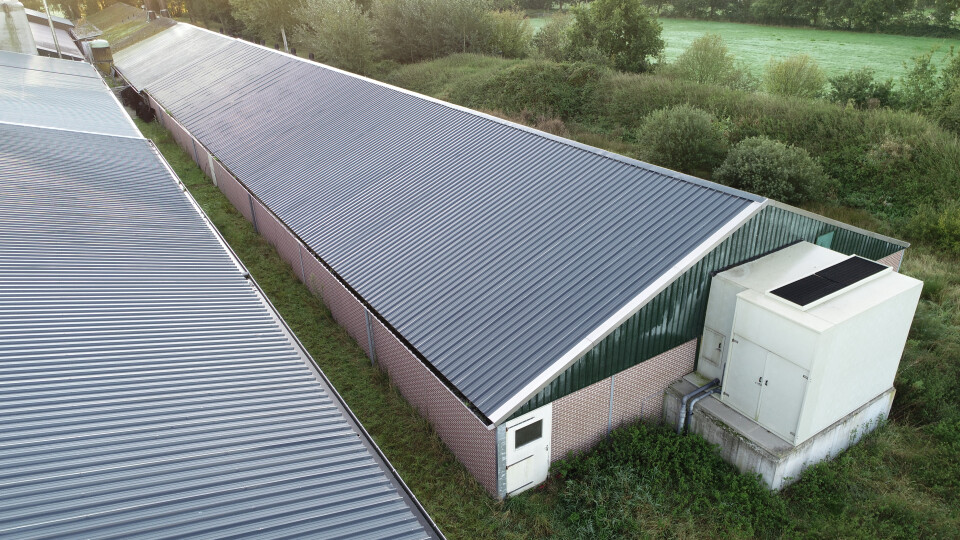 Ca. 920 m² staalconstructie incl. sandwich dakpanelen en prefab wanden - Foto 2