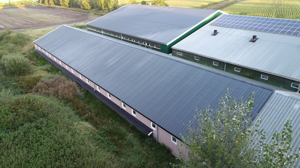 Ca. 920 m² staalconstructie incl. sandwich dakpanelen en prefab wanden - Foto 3