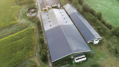Staalconstructie | Schuur | Loods | Bedrijfspand | Opslag - Foto 2