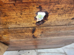 Sampan, Chinese schouw - Foto 31