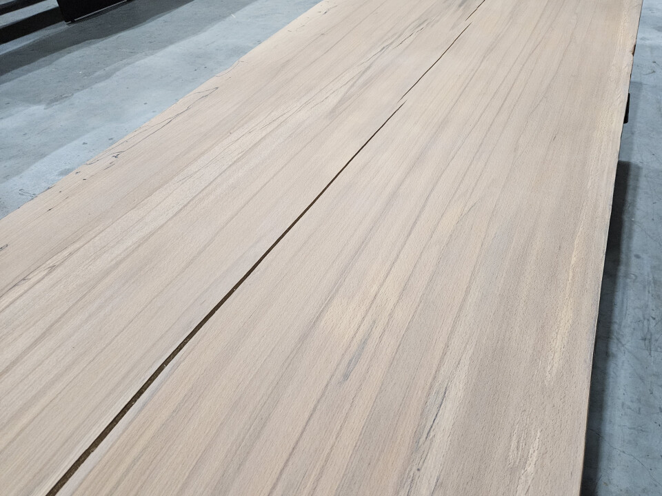 Boomstamtafel Beuken 295x105/95 cm - WF094 - Foto 5