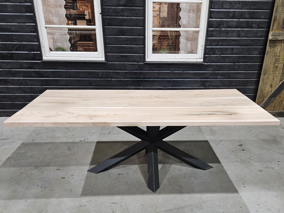 Boomstamblad Iepen 220x100 cm - WF042