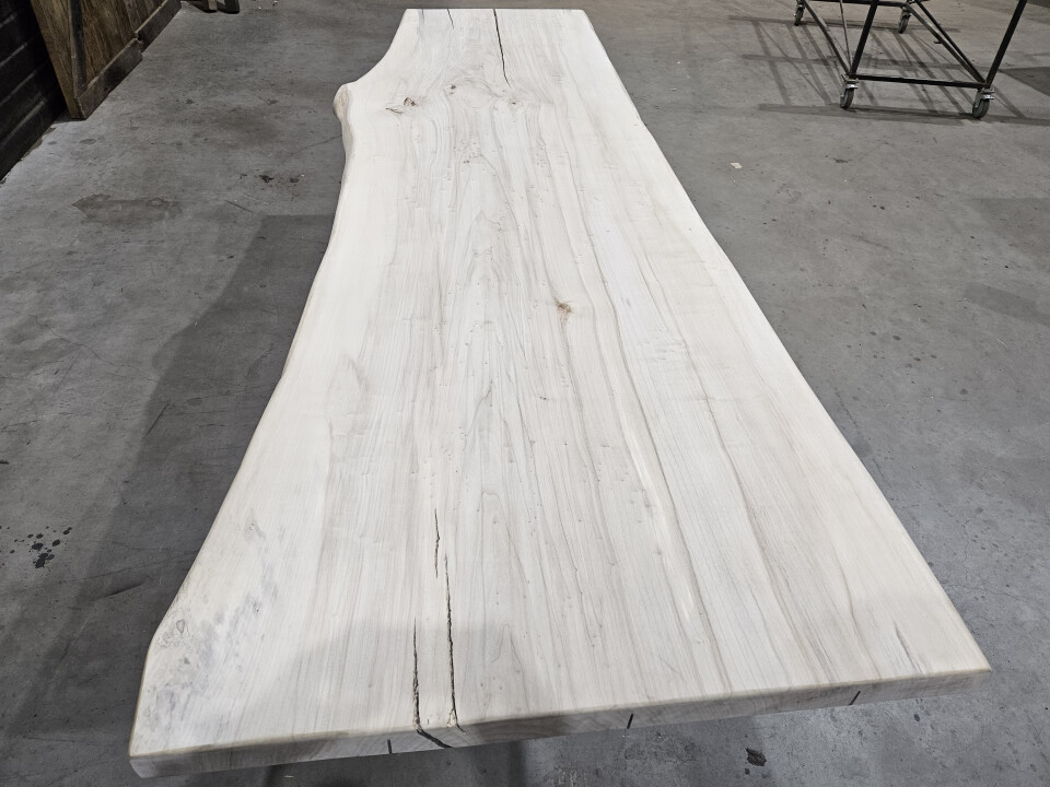 Populieren boomstamtafel 285x105/75 cm - WF034 - Foto 5