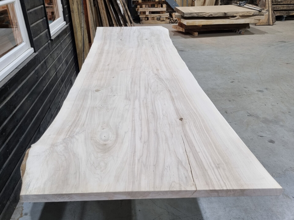 Boomstamtafel Populier uit 2 delen 380cm - BT022 - Foto 3