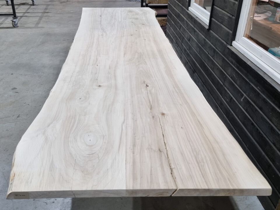 Boomstamtafel Populier uit 2 delen 380cm - BT022 - Foto 5