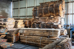 Schaaldelen - complete gezaagde boomstammen - Foto 10