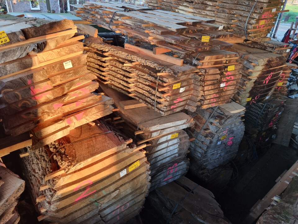 Schaaldelen - complete gezaagde boomstammen - Foto 17