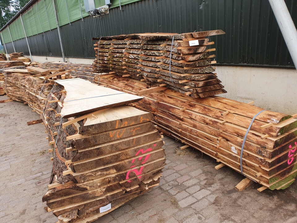 Schaaldelen - complete gezaagde boomstammen - Foto 15