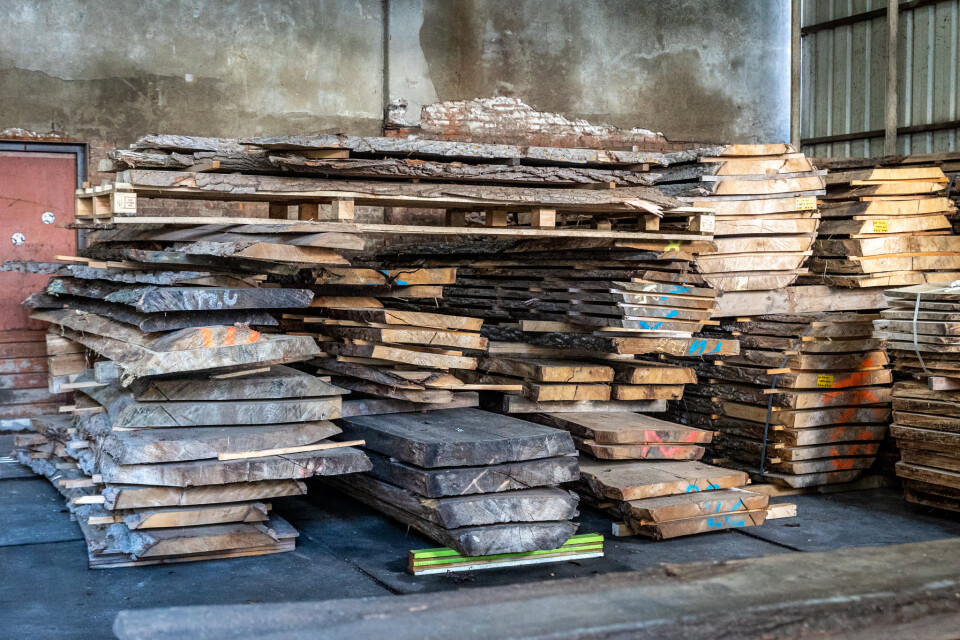 Schaaldelen - complete gezaagde boomstammen - Foto 14