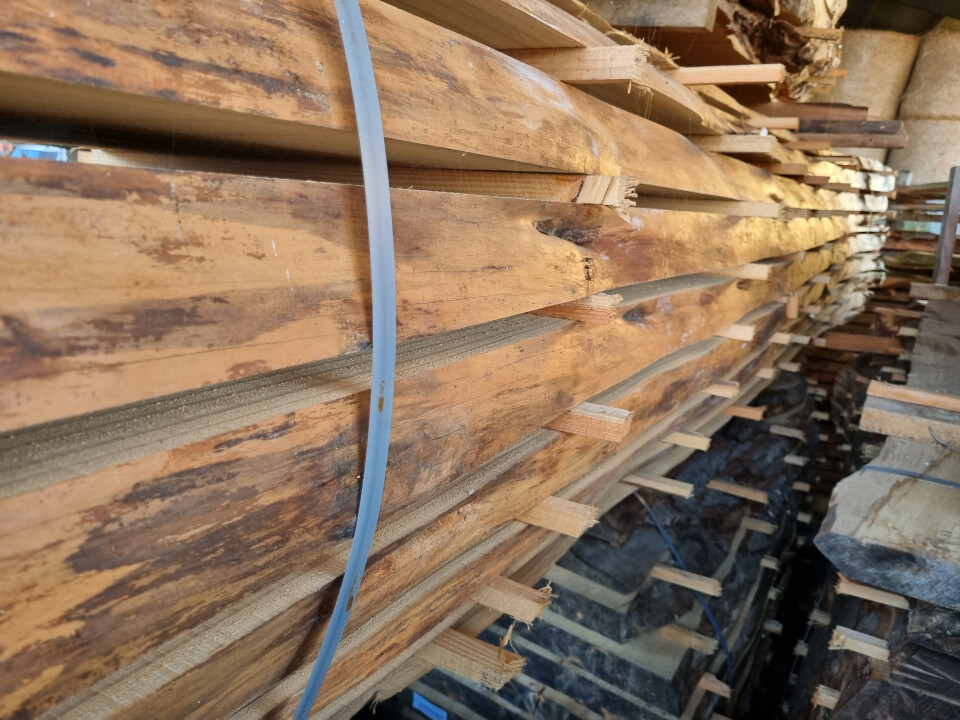 Schaaldelen - complete gezaagde boomstammen - Foto 13