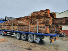 Schaaldelen - complete gezaagde boomstammen - Foto 12