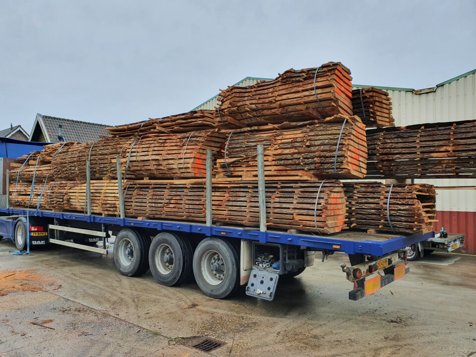 Schaaldelen - complete gezaagde boomstammen - Foto 12