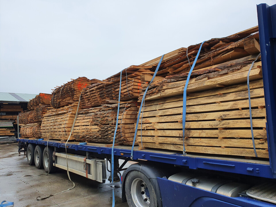 Schaaldelen - complete gezaagde boomstammen - Foto 11