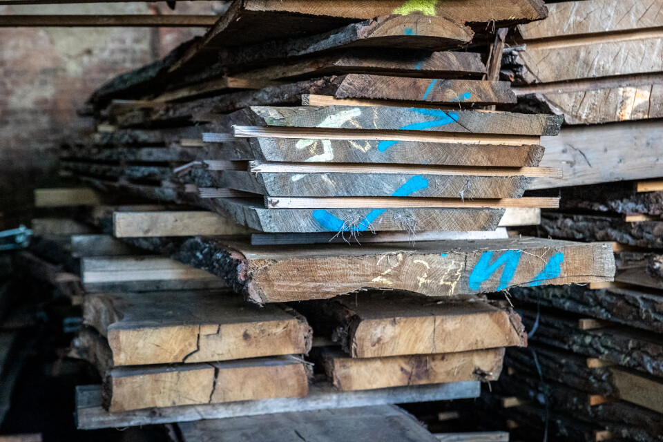 Schaaldelen - complete gezaagde boomstammen - Foto 1