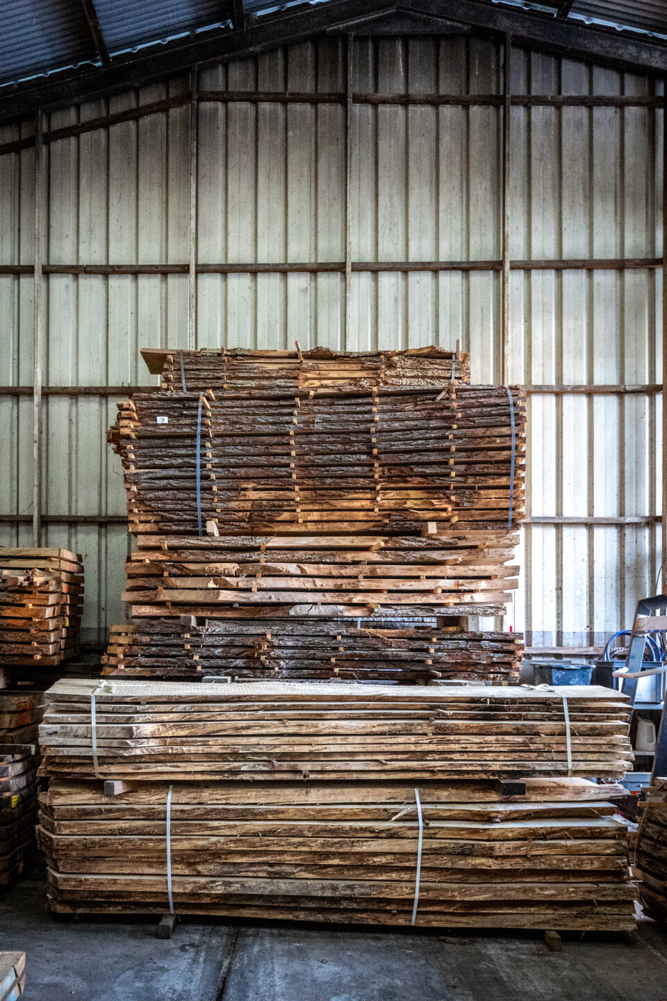 Schaaldelen - complete gezaagde boomstammen - Foto 7