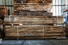 Schaaldelen - complete gezaagde boomstammen - Foto 6