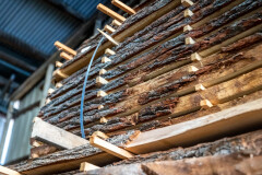 Schaaldelen - complete gezaagde boomstammen - Foto 5