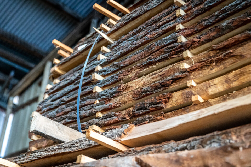 Schaaldelen - complete gezaagde boomstammen - Foto 5