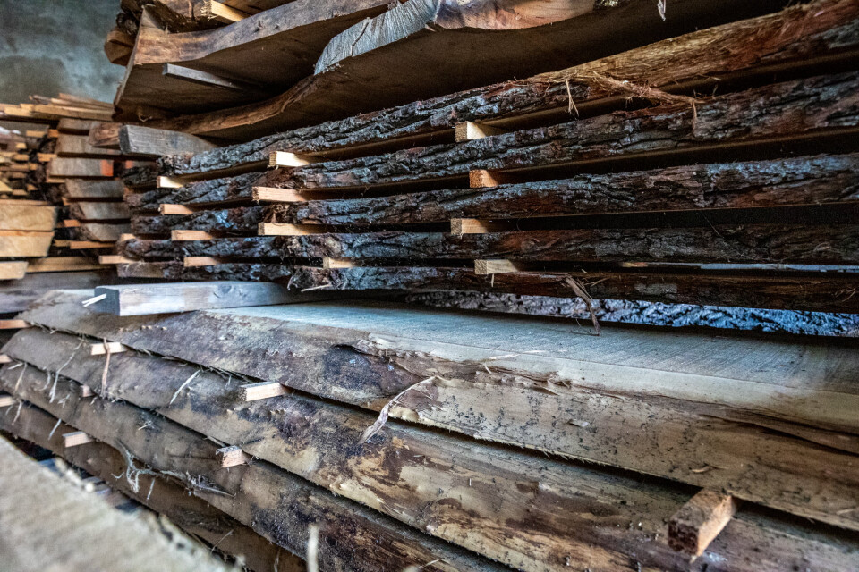 Schaaldelen - complete gezaagde boomstammen - Foto 4