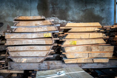 Schaaldelen - complete gezaagde boomstammen - Foto 3