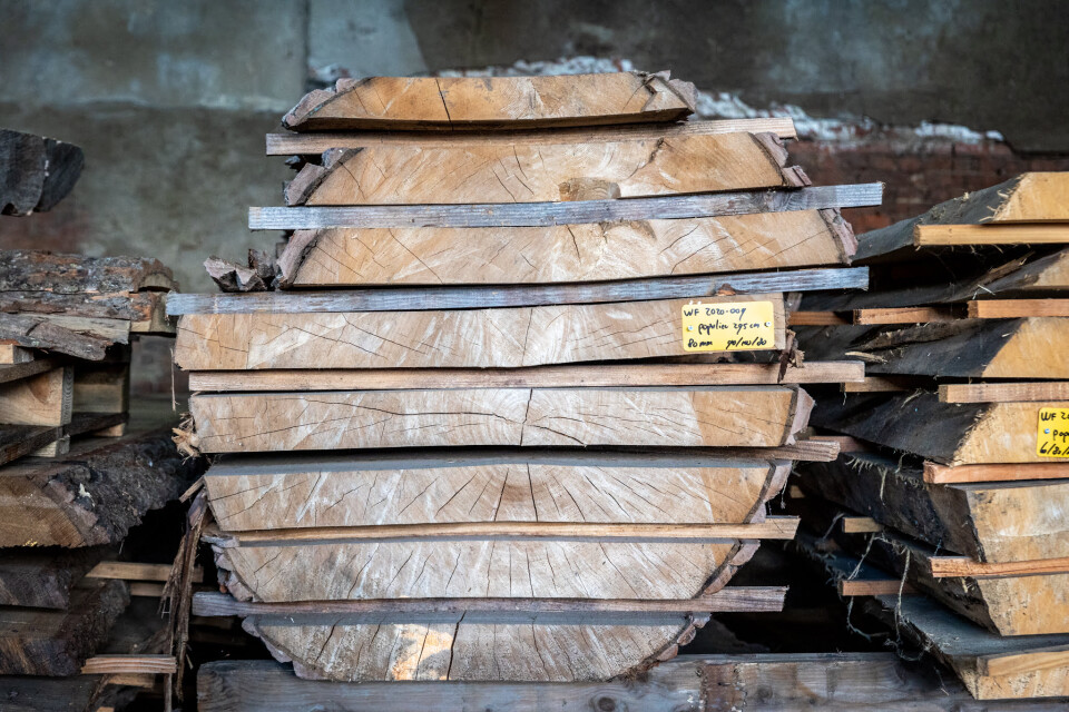 Schaaldelen - complete gezaagde boomstammen - Foto 2