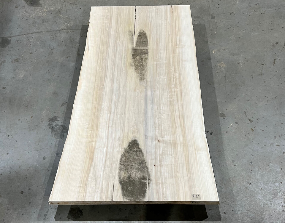 Boomstamtafel Populier 1 deel 201cm - BT012