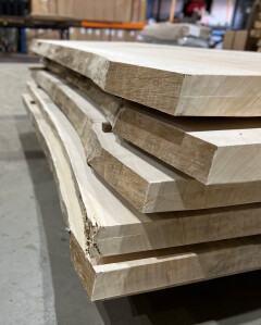 Boomstamtafel Populier 1 deel 201cm - BT012 - Foto 4