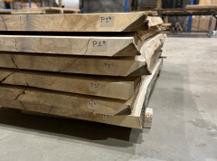 Boomstamtafel Populier 1 deel 201cm - BT012 - Foto 5