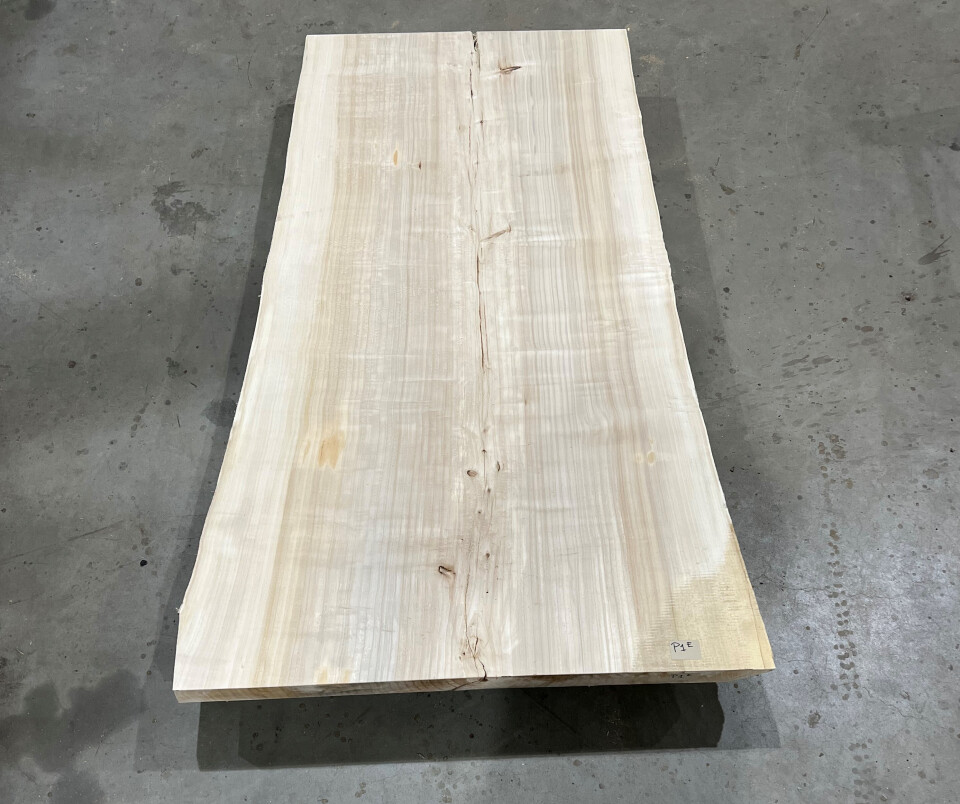 Boomstamtafel Populier 1 deel 211cm - BT011