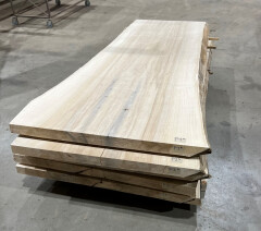 Boomstamtafel Populier 1 deel 211cm - BT011 - Foto 2