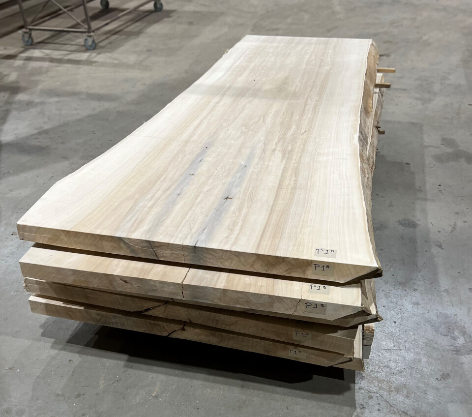 Boomstamtafel Populier 1 deel 211cm - BT011 - Foto 2