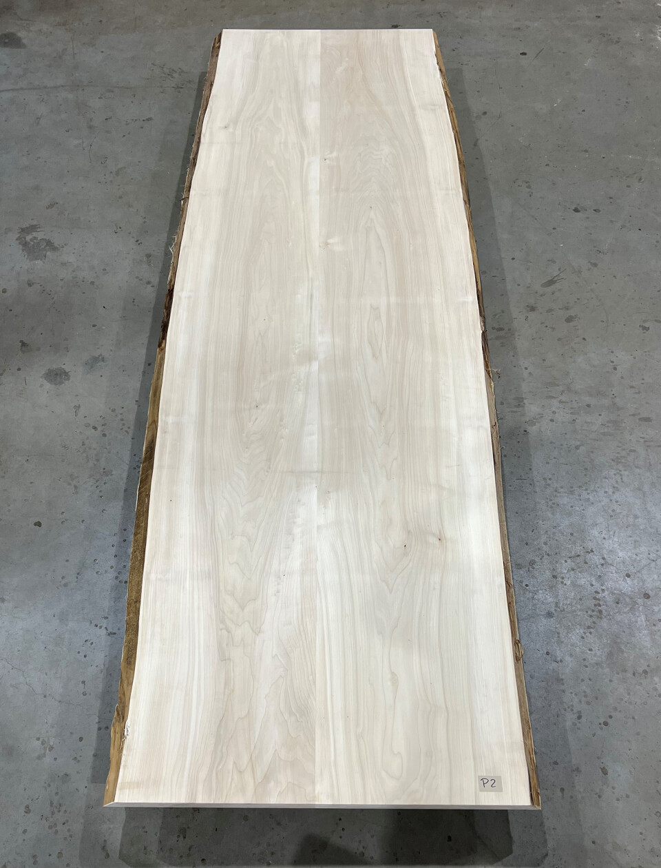 Boomstamtafel Populier uit 2 delen 375cm - BT005