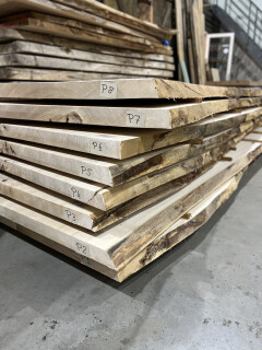 Boomstamtafel Populier uit 2 delen 375cm - BT005 - Foto 2