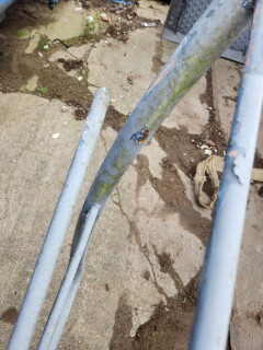 Gegalvaniseerde wenteltrap met platform - Foto 7