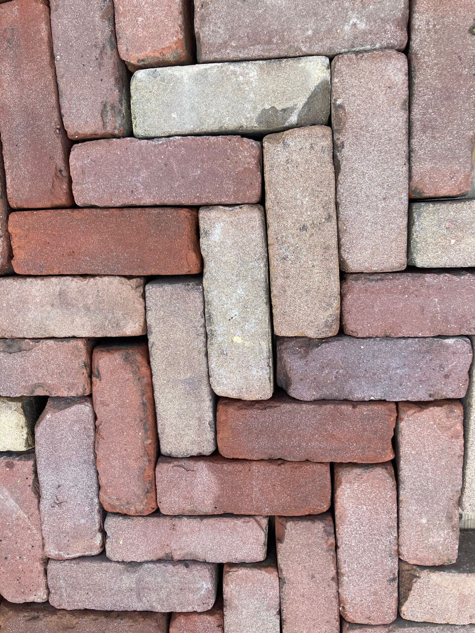 Dikformaat bont genuanceerd (P62) - Foto 3