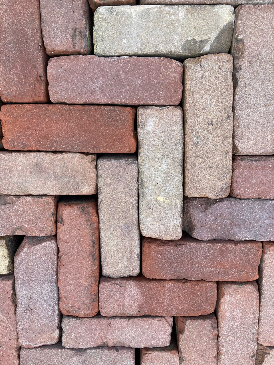 Dikformaat bont genuanceerd (P62) - Foto 4