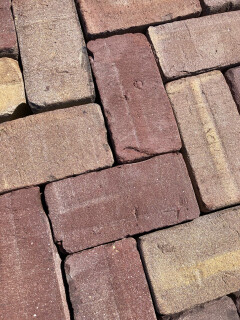 Keiformaat bont (P42) - Foto 3