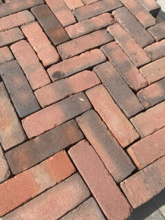 Dikformaat rood (P94) - Foto 3