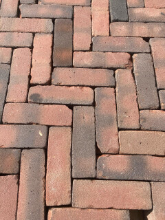 Dikformaat rood (P94) - Foto 4