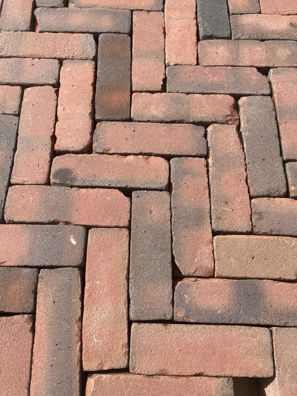 Dikformaat rood (P94) - Foto 4