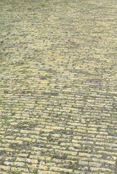 IJsselformaat geel (P93) - Foto 1