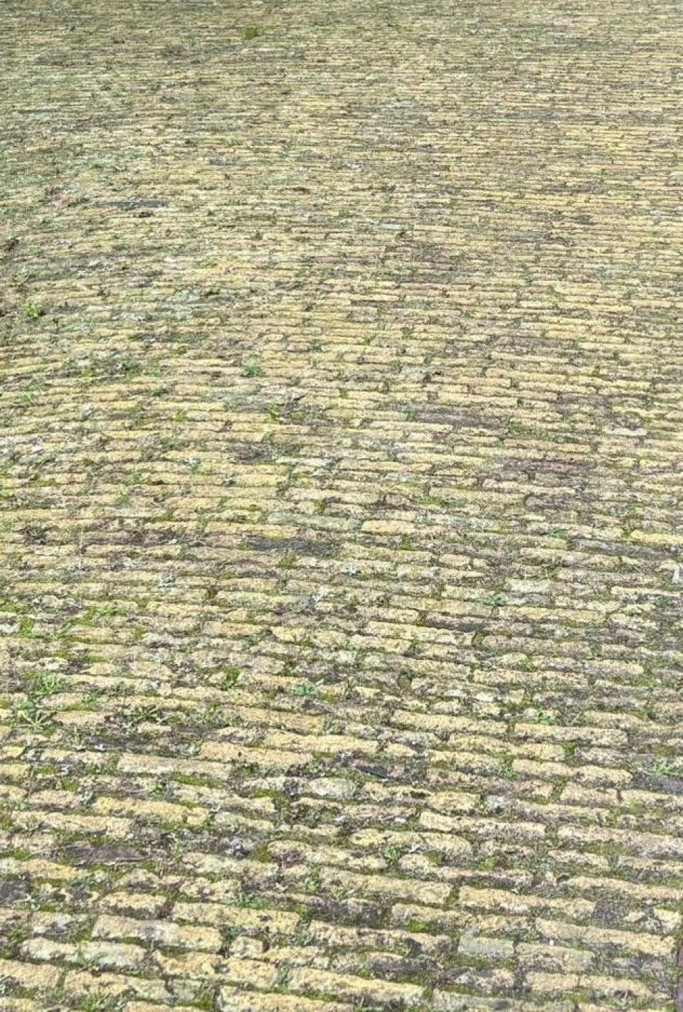IJsselformaat geel (P93)