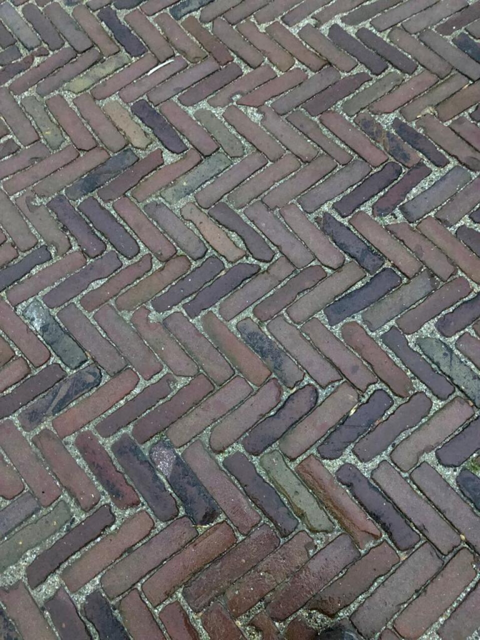 Waalformaat bont genuanceerd (P46)