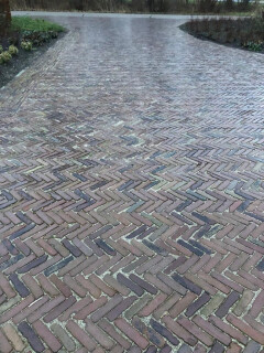 Waalformaat bont genuanceerd (P46) - Foto 3