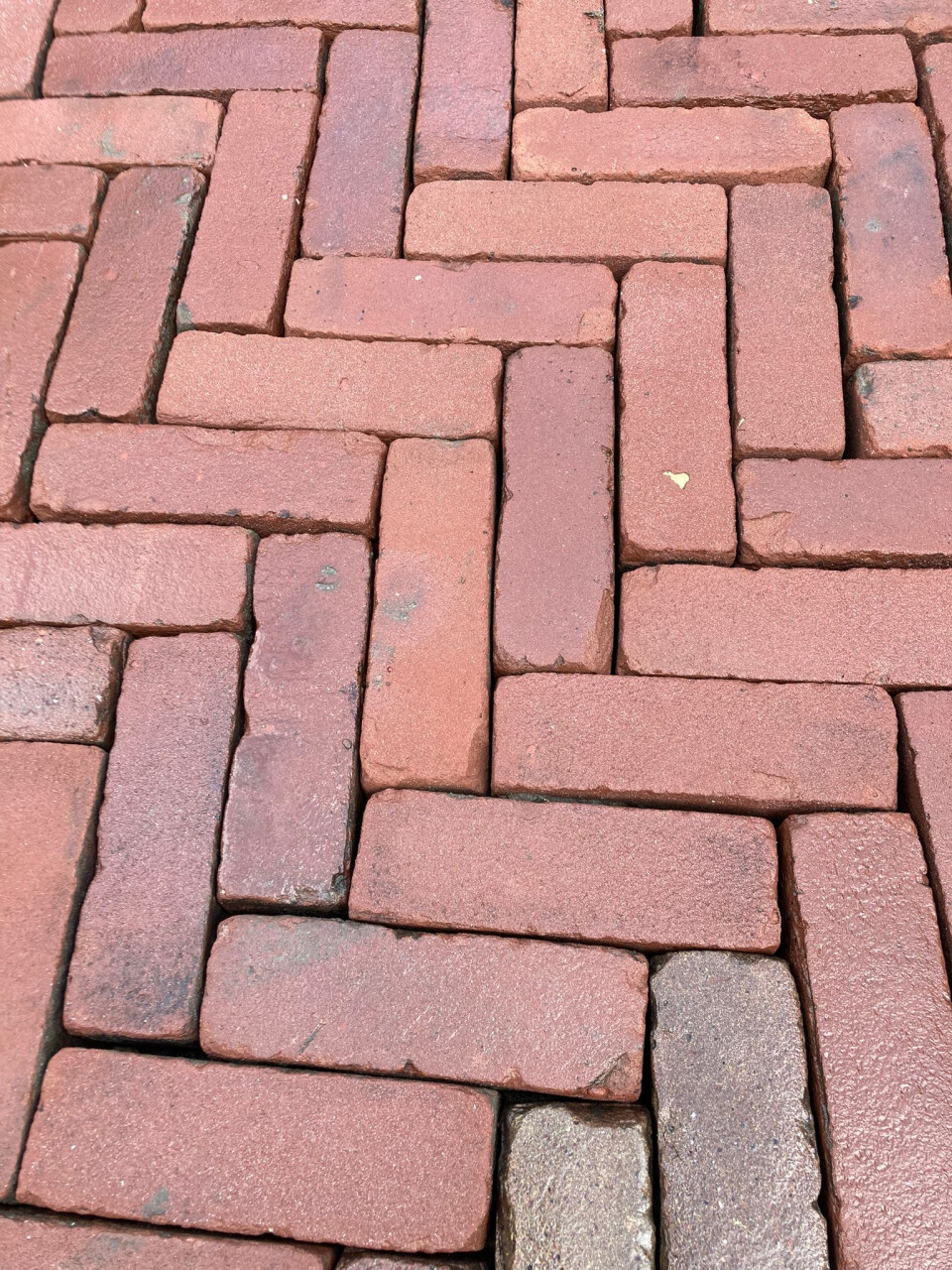 Dikformaat rood/paars (P01)
