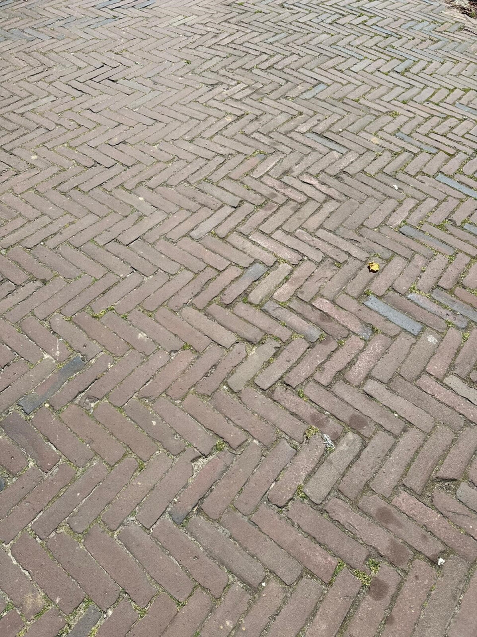 Waalformaat rood genuanceerd(P06) - Foto 5