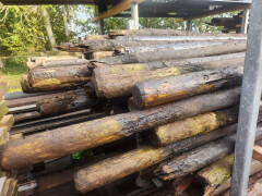 Gecreosoteerde weidepalen - Foto 2