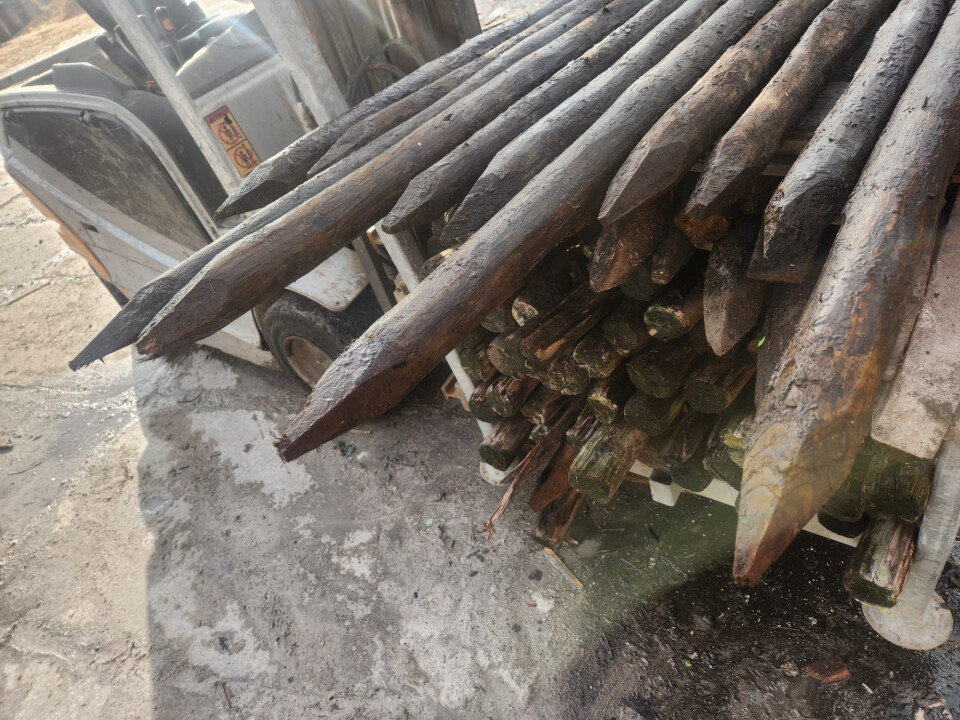 Gecreosoteerde weidepalen - Foto 3