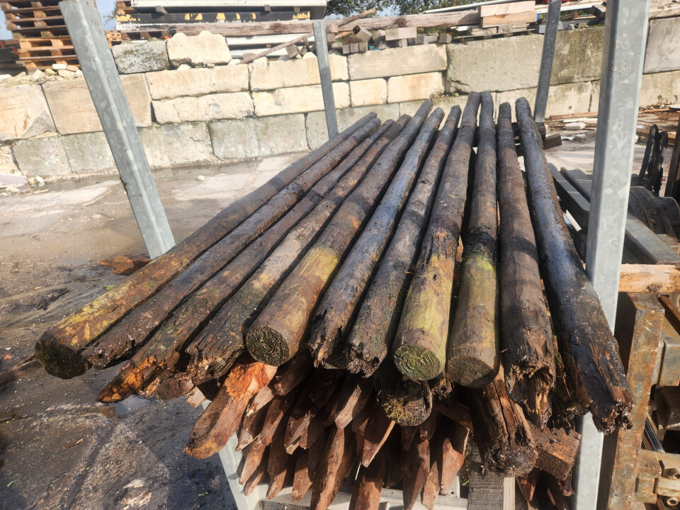 Gecreosoteerde weidepalen - Foto 4