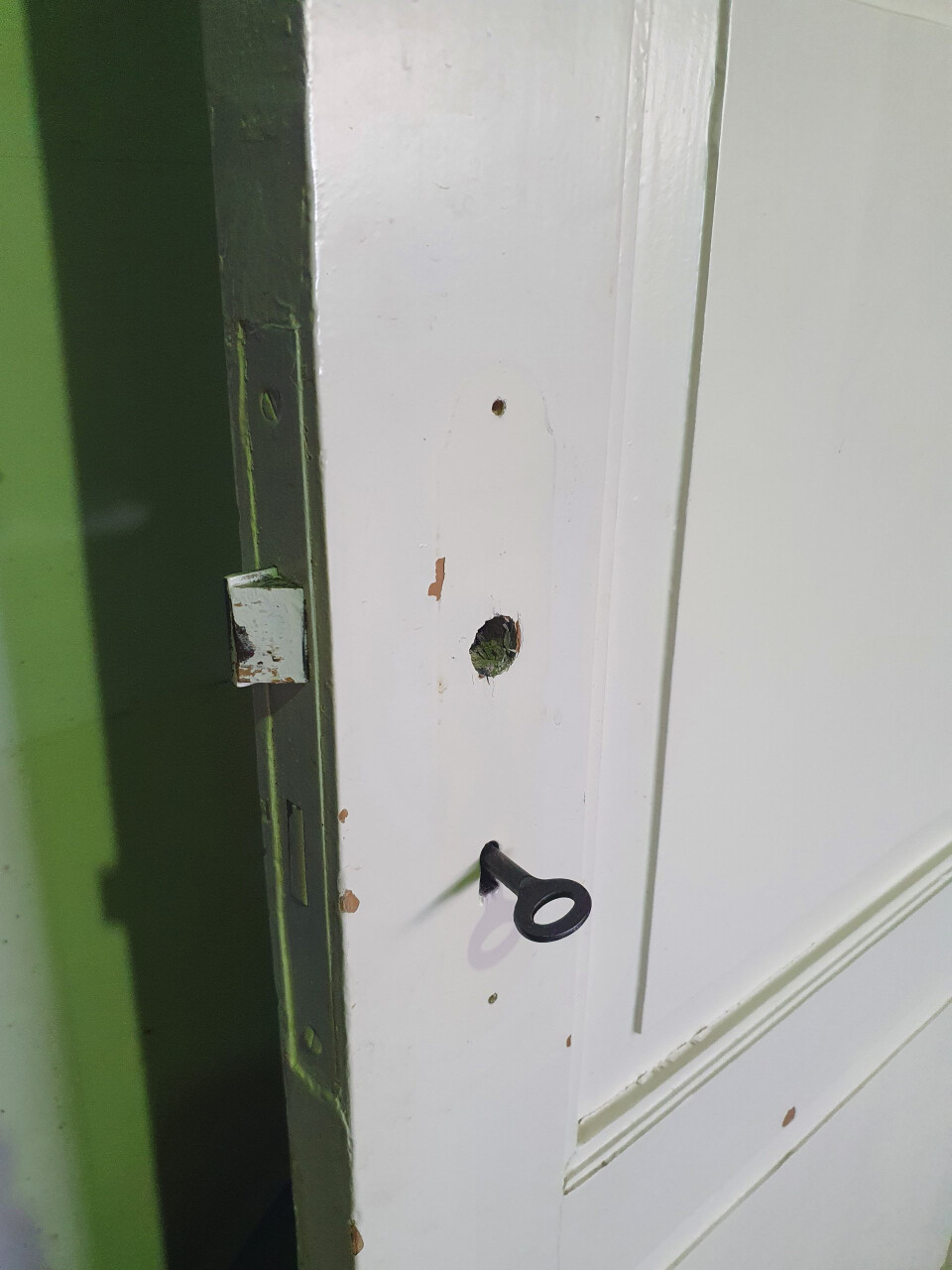 Paneeldeur 3 vaks - 10681 - Foto 3